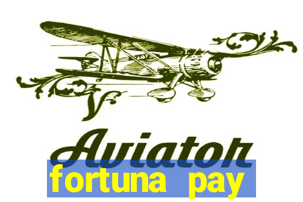 fortuna pay consultoria financeira ltda